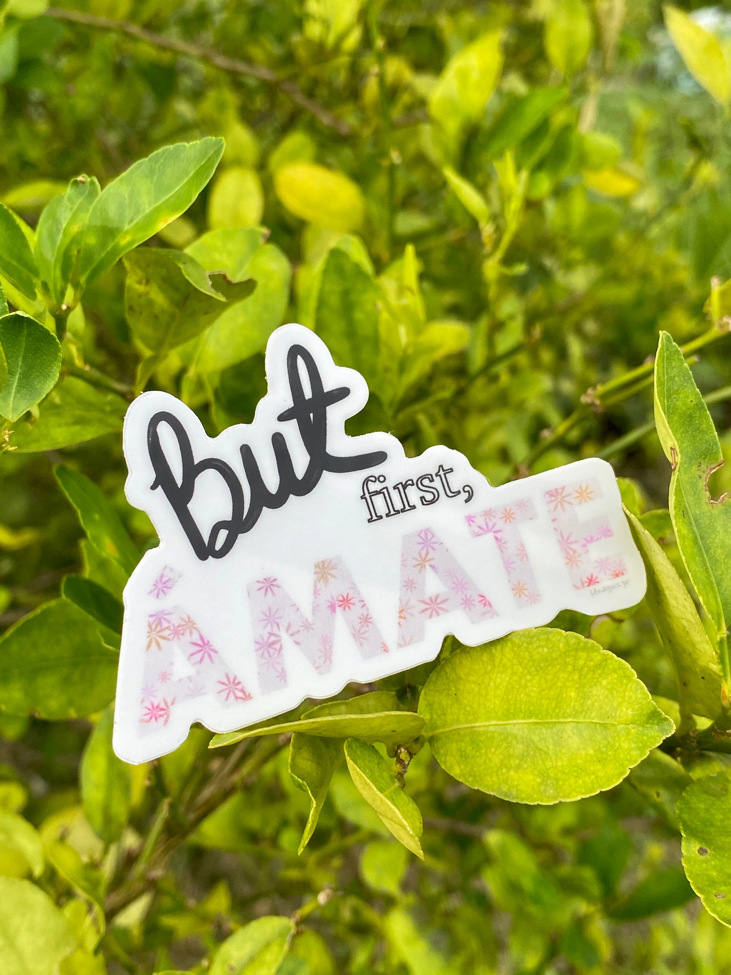 But first, ÁMATE!